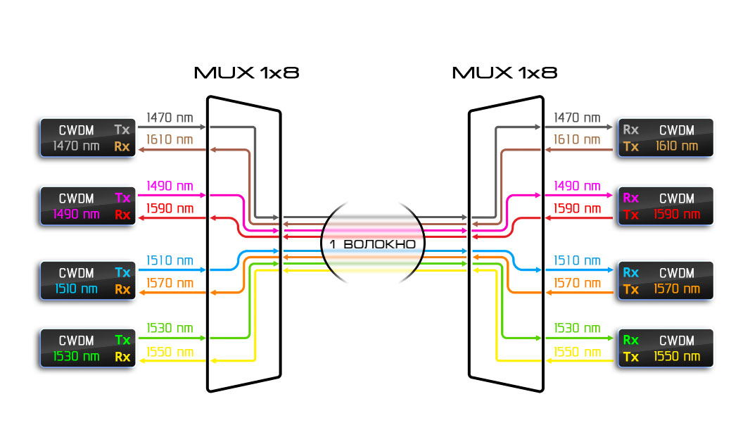 CWDM-11.jpg